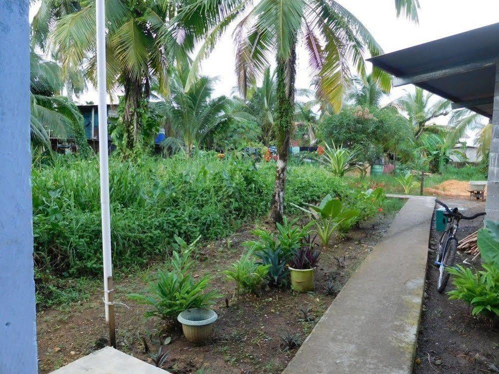 Valerie Emanuel Apartments Bocas del Toro Exterior photo